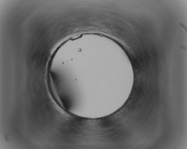 X0000091461518200709131724