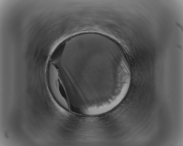 X0000091461519200709131724