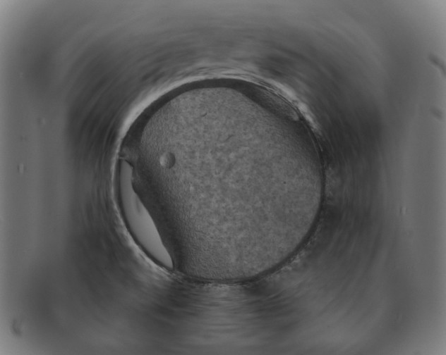 X0000091461520200709131724