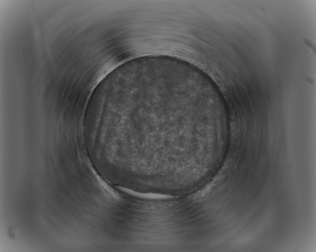 X0000091461521200709131724