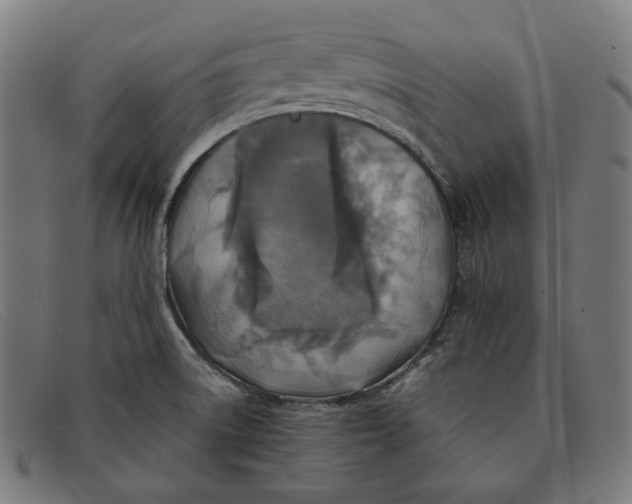 X0000091461522200709131724