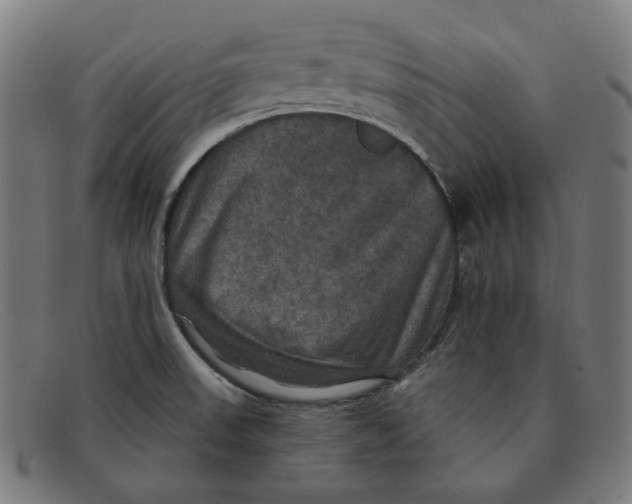 X0000091461523200709131724