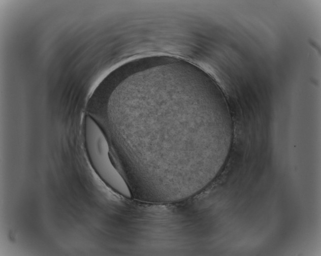 X0000091461524200709131724