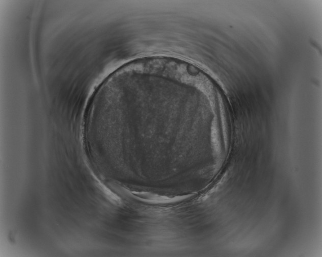 X0000091461525200709131724