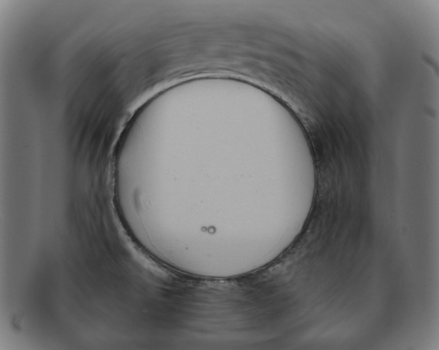 X0000091461526200709131724