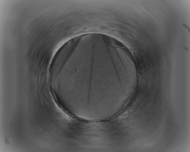 X0000091461527200709131724