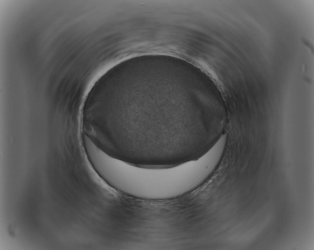 X0000091461528200709131724