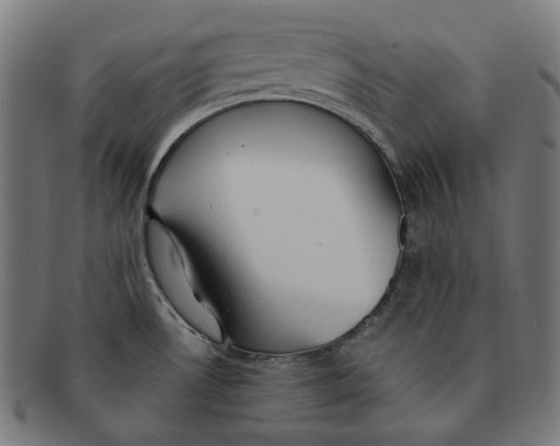 X0000091461530200709131724