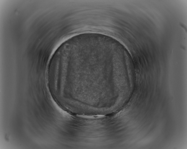 X0000091461531200709131724