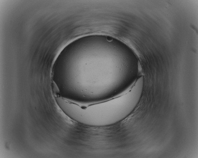 X0000091461532200709131724