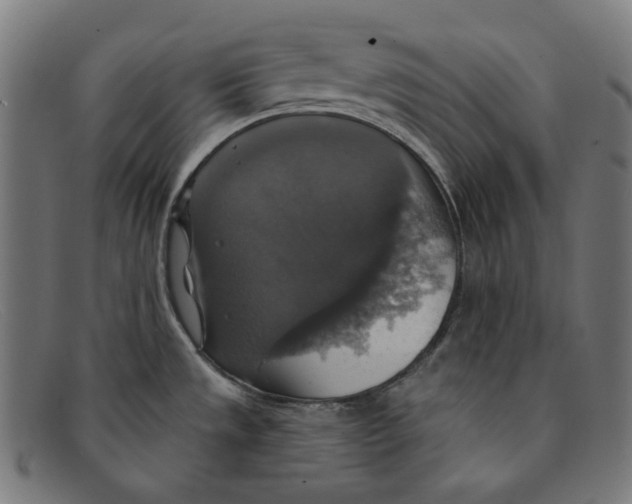 X0000091461533200709131724