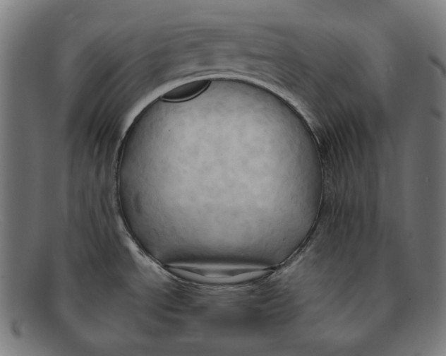 X0000091461534200709131724