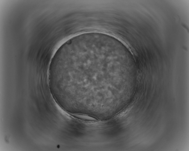 X0000091461535200709131724