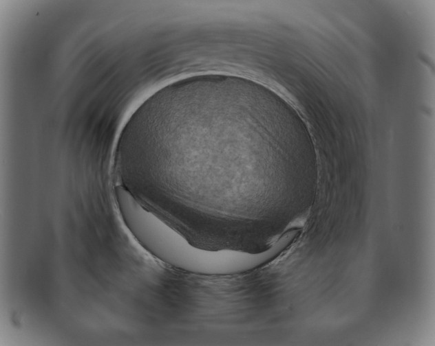 X0000091461536200709131724