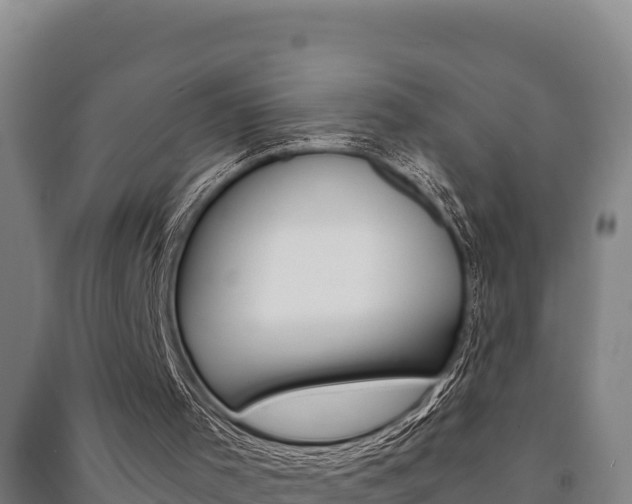 X0000091470001200708161137
