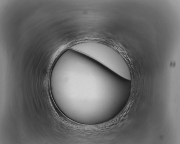 X0000091470003200708161137