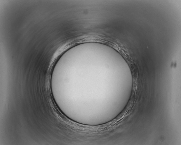 X0000091470004200708161137