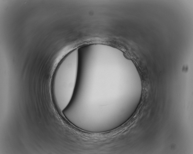 X0000091470006200708161137