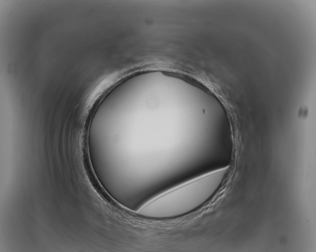 X0000091470007200708161137
