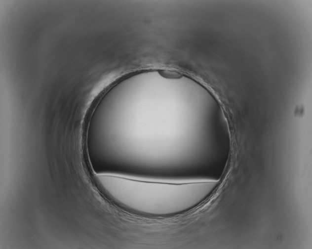 X0000091470008200708161137