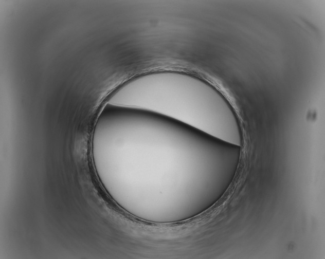 X0000091470010200708161137