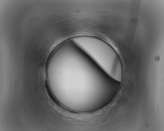 X0000091470011200708161137