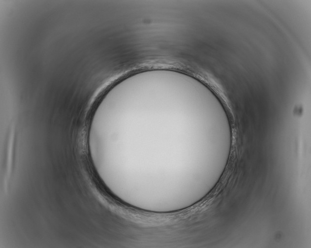 X0000091470012200708161137