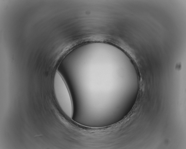 X0000091470013200708161137