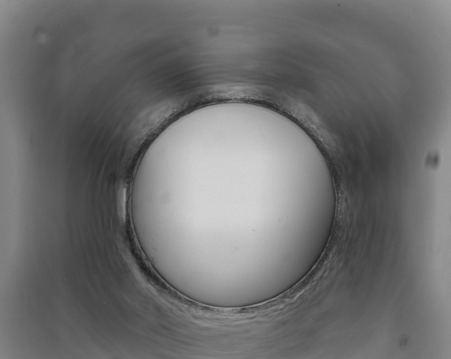 X0000091470014200708161137