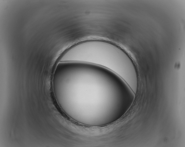 X0000091470015200708161137