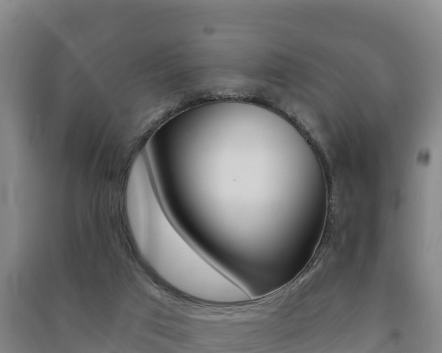 X0000091470017200708161137