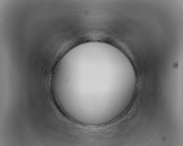 X0000091470018200708161137