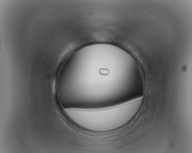 X0000091470019200708161137