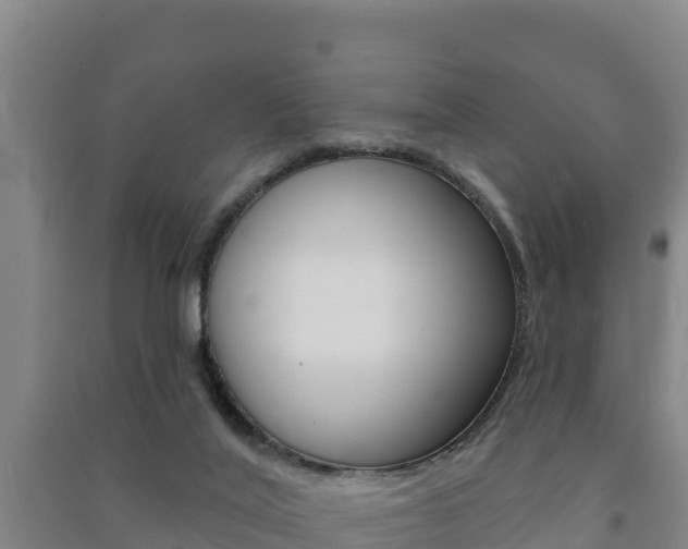 X0000091470020200708161137