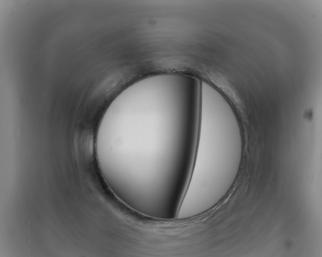 X0000091470021200708161137