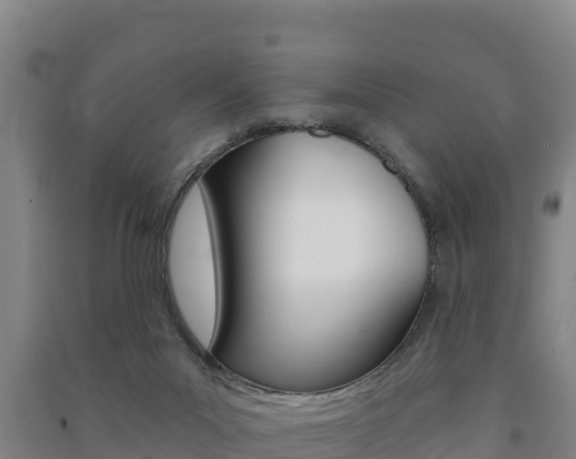 X0000091470023200708161137