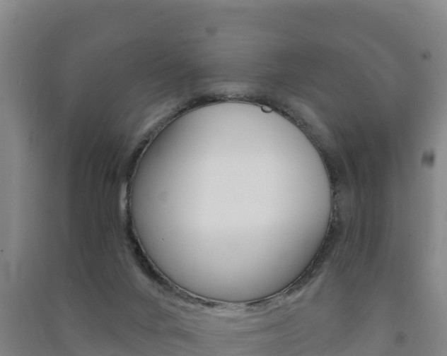X0000091470024200708161137