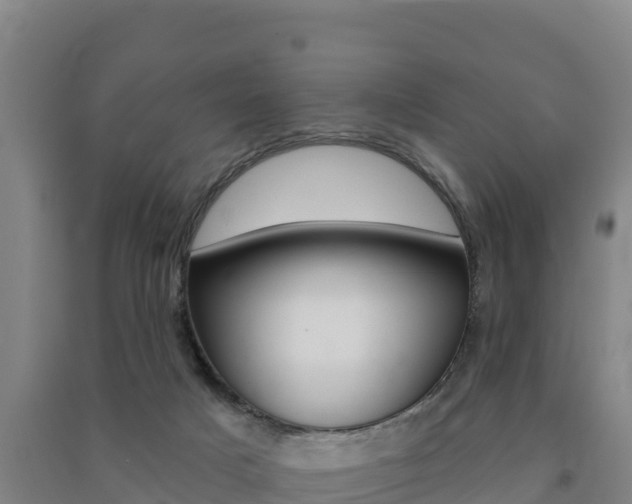 X0000091470025200708161137