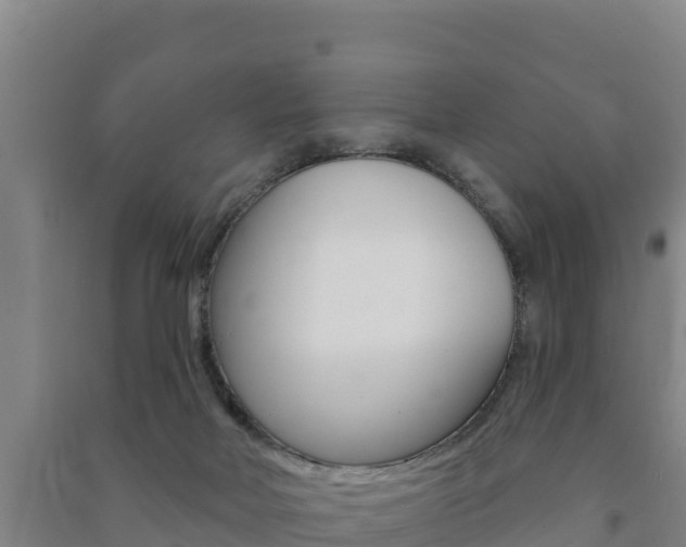 X0000091470026200708161137