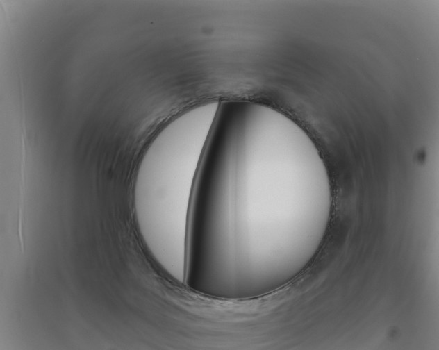 X0000091470027200708161137