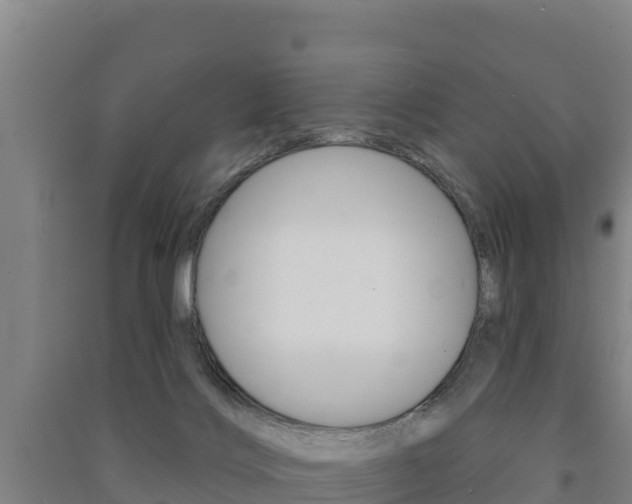 X0000091470028200708161137