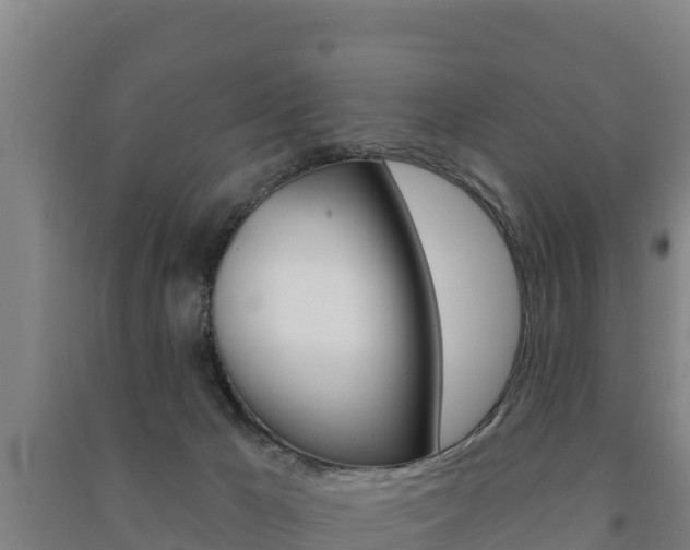 X0000091470029200708161137