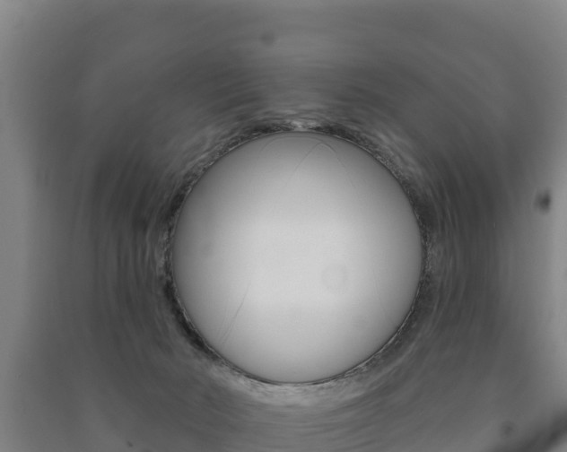 X0000091470030200708161137