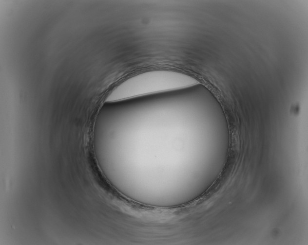X0000091470032200708161137