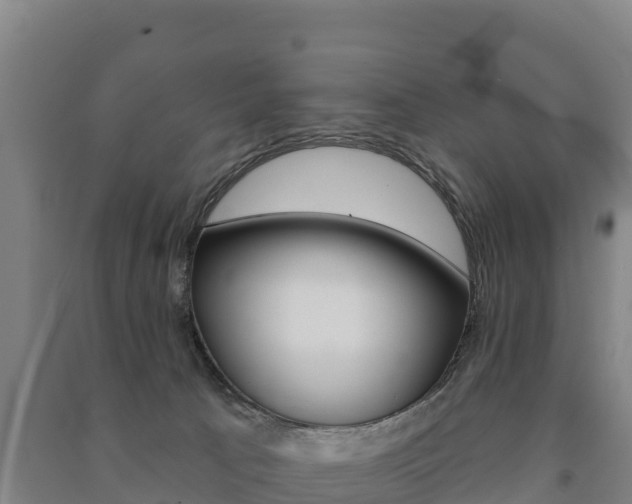 X0000091470033200708161137