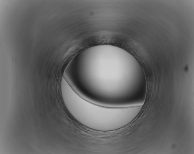 X0000091470035200708161137