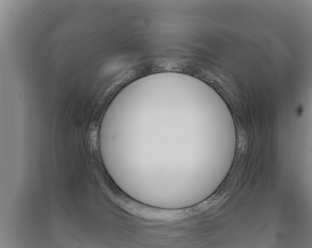 X0000091470036200708161137