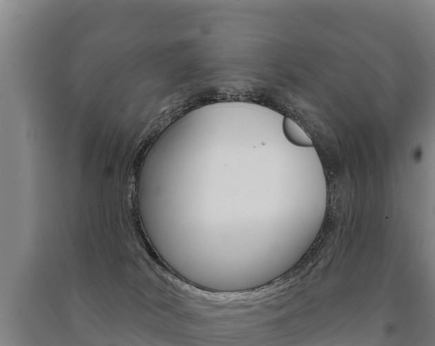 X0000091470038200708161137