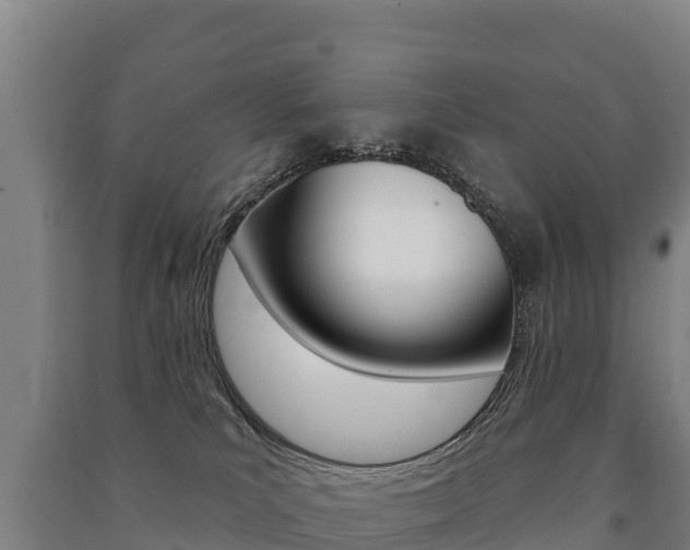 X0000091470039200708161137