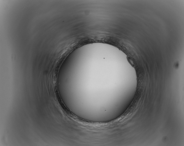 X0000091470040200708161137